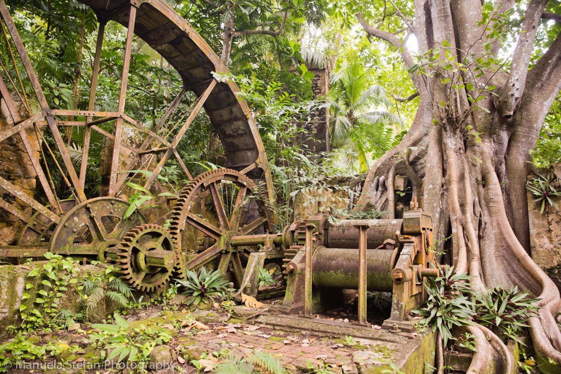 Vila Balenbouche Estate Laborie Exteriér fotografie