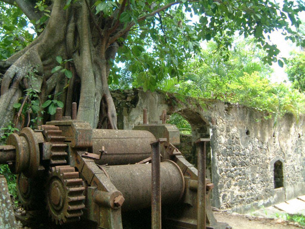 Vila Balenbouche Estate Laborie Exteriér fotografie