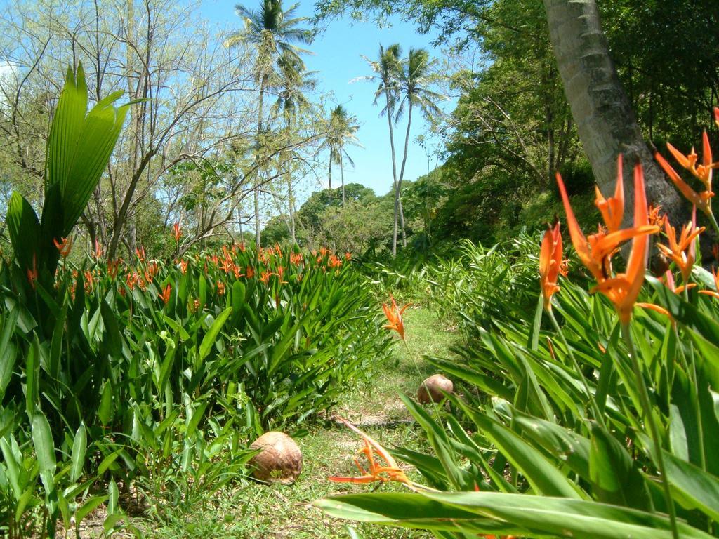 Vila Balenbouche Estate Laborie Exteriér fotografie
