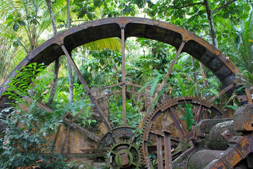 Vila Balenbouche Estate Laborie Exteriér fotografie